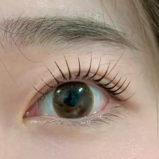 【シン専用】フラットラッシュ上100本　下20本　オフ無料