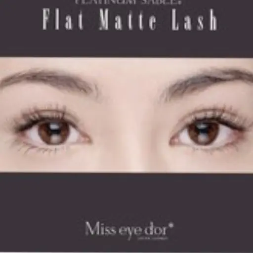 【⠀minimo限定価格⠀】フラットマットラッシュ オフ込み160本