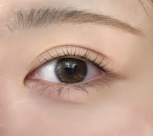 3月限定🧡選べるデザイン🎶ラッシュリフト・パリジェンヌラッシュリフトも◎(トリートメント付き💎)🧡