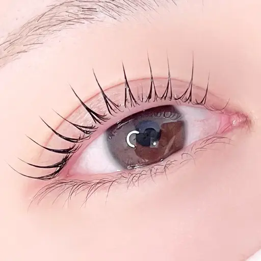 ︎【‼️先着1名限定‼️】パリジェンヌor まつ毛パーマ 🤍アイシャンプー✨トリートメント✨️コーティング🤍