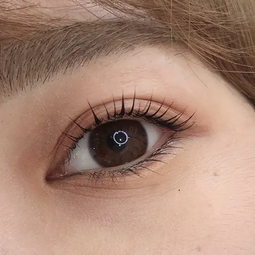 \韓国で大人気!!🇰🇷/マスカラパーマ上のみ❣️💫【先着5名様限定✨】詳細は下記詳細をご覧下さい🌿