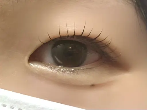 【平日限定‼️】〈オフなし・上まつ毛のみ〉まつ毛パーマ💍