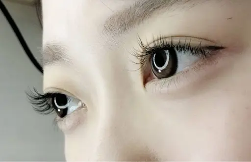 今だけ価格🩷地域初❣️高持続‼️メガフラットラッシュ60束