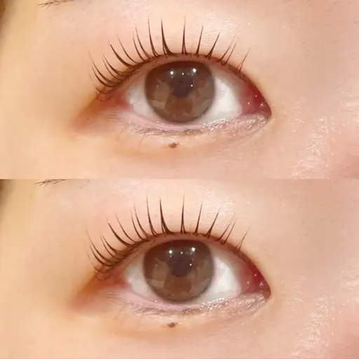 🦋パリジェンヌラッシュリフトorラッシュリフト¥5980🦋