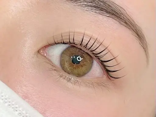 【8/28.29.31】上下まつげパーマ🫶🏻🤍詳細、補足情報をよくお読みください！