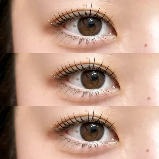 🎀𓊆1日1名限定 𓊇ブラックティント+まつげパーマorパリジェンヌラッシュリフト