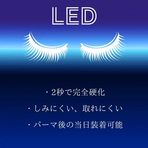 ♡LEDダブルフラットラッシュ♡(オフ有60束/オフなし70束) 【¥6500】