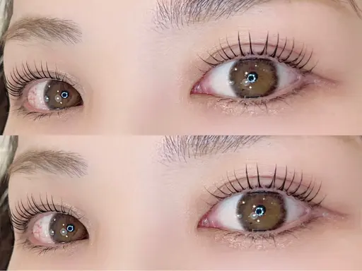 【1/19(月)10:00限定‼️】まつ毛パーマ︎︎