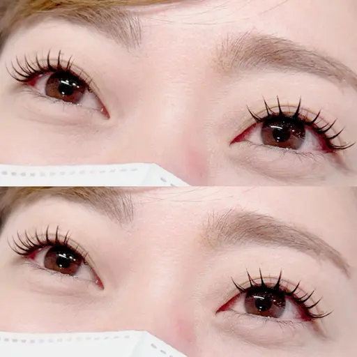 ❣️特別価格❣️🌸新メニュー🌸アンドヘルシー120本（LEDフラットラッシュ込み）今だけオフ無料✨✨🤍