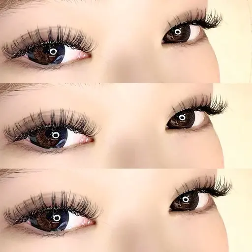 【KANO限定🍀】バインドロック100束　無料練習モデル