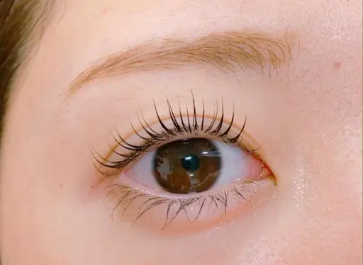 まつげパーマ(上のみ)🩷束感仕上げ👀🫧💭北浦和/まつパ