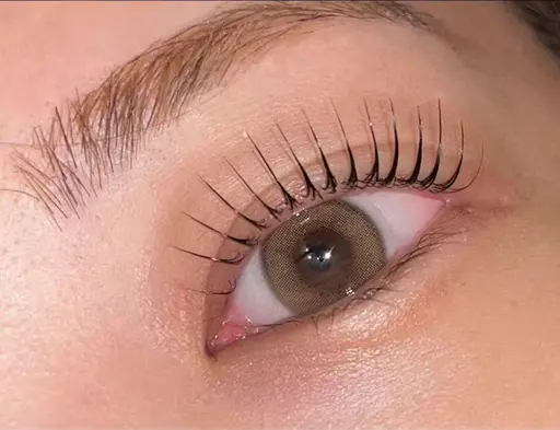 韓国風・束感まつ毛パーマ(美容液+コーティング付き)