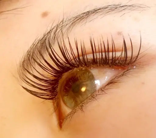 👑フラットラッシュ150本迄￥3550‼️(オフ/アイシャン/コーティング付)👑カールJCDL/長さ8㎜～15㎜