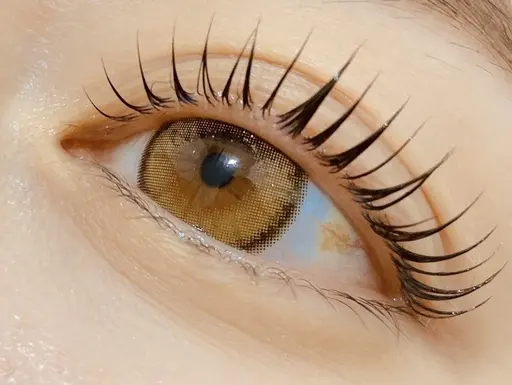 【無料】上まつ毛パーマ★ 1時間​〜​1時間半※説明ご確認ください