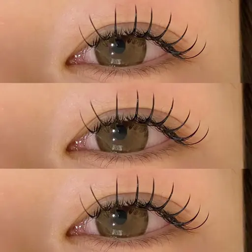 フラットラッシュ100本