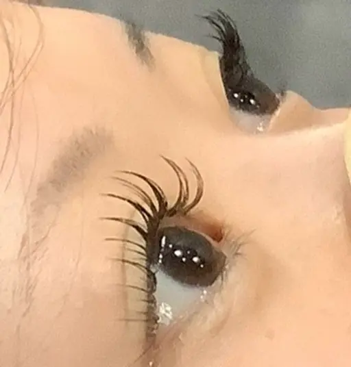 マツエクつけ放題+まつ毛コーティング