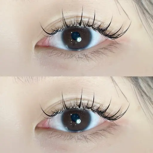 【大流行中デザイン】ワンホンエクステ🇨🇳🐼(フラット120本)