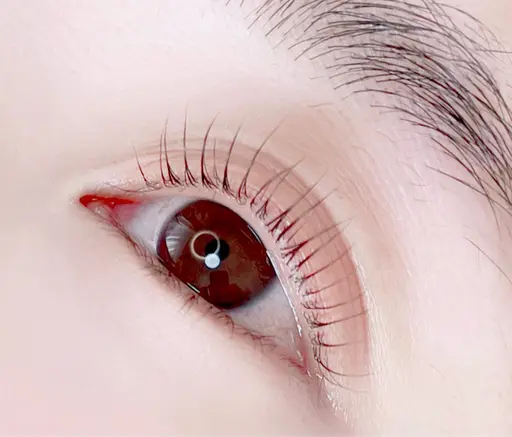 ラッシュリフト【コーティング込】