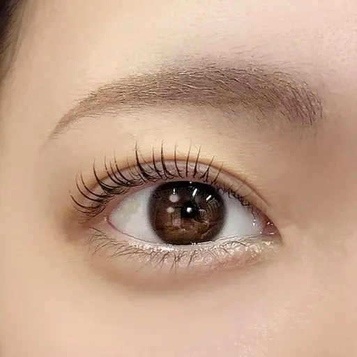 【期間限定】まつ毛パーマ🤍¥2980