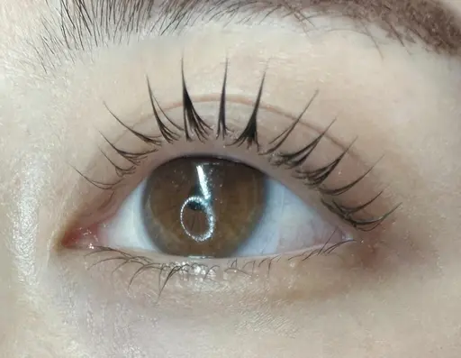 🌸【新規/練習モデル】🌸   👀ラッシュリフト(上)💖✨