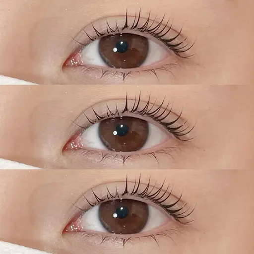 【🦢 まつ毛パーマ 🦢】ラッシュリフトorパリジェンヌ