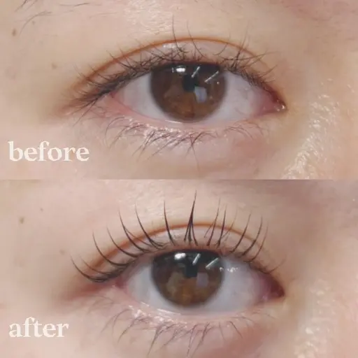 《ご新規様限定価格🤍》ラッシュリフトor自然なカール◎選べるまつ毛パーマ　￥5500→￥4400