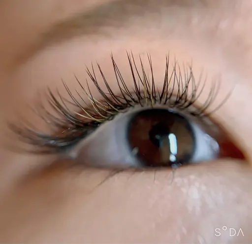 フラットラッシュつけ放題180​〜​200本　6800円（オフ無料）