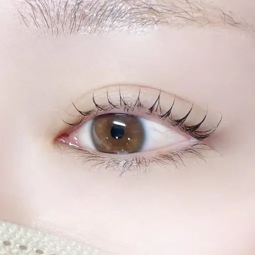 🌟New🌟メーテルカールデザイン【・韓国風束感仕上げ・コーティング込💕】