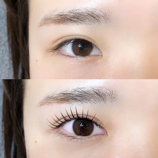 本日限定🪴まつ毛パーマorパリジェンヌラッシュラッシュリフト✨¥4400