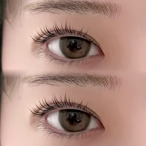 ミニモ限定🎀ラッシュリフト🎀上下まつ毛パーマ)*。 【マツエクオフなしの方のみ】