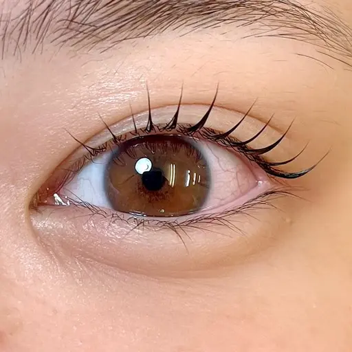 ミニモSALE🫧まつげカール/パリジェンヌ/メーテル/韓ドルパーマ何でも🉑