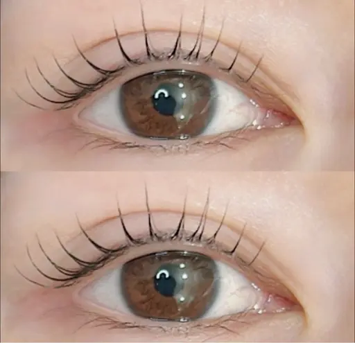 まつげパーマorパリジェンヌ🩵