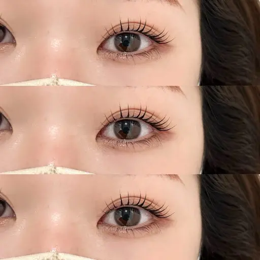 当日限定🎀 アイブロウスタイリング+ラッシュリフト ¥12,650→8,980