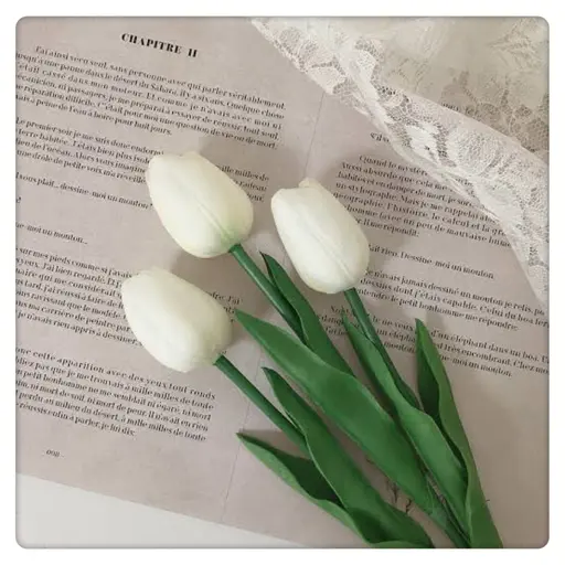 【女性限定】🚺vio脱毛3ヶ所🚺