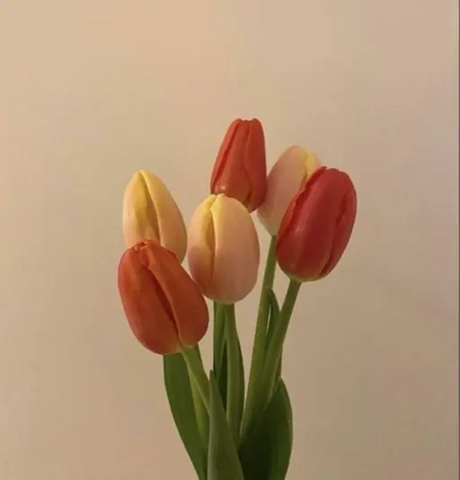 マスカラパーマ🪞🪄︎︎