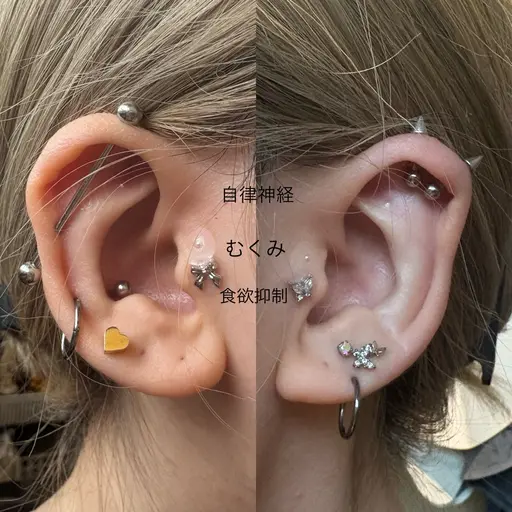 ✨耳つぼジュエリー✨6粒（大パーツ2粒まで）🖤耳マッサージ付き