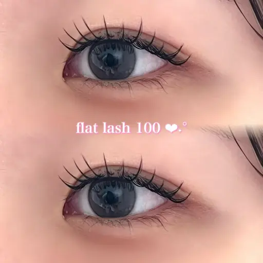 【 𝙊𝙋𝙀𝙉価格🌱 】フラットラッシュ100本✩.*˚ (オフ込)