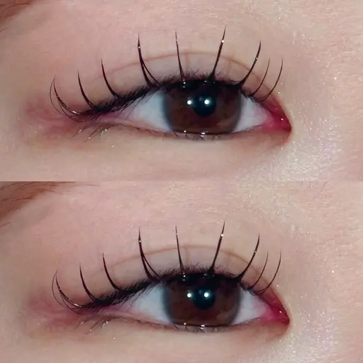 ʚ🎀ɞ新規限定ʚ🎀ɞミンク80本まで付け放題(オフ、コーティング込み)🤍