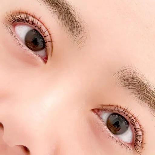 【すぐ予約のみ🌈】フラットラッシュ上100本+下40本※練習モデルでのご案内となりますので、当日のみの受付となります。