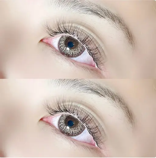 限定🕯ボリュームラッシュ🕯【総数300本】練習モデル🤍