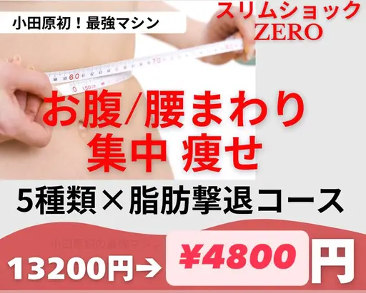 【最新痩身☆スリムショックゼロ上半身or下半身】気になる半身集中ケア⭐️13,200円→4,800円❤️‍🔥