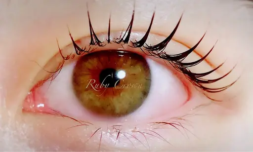 【まつ毛パーマ】選べるカール♪束間コーティング付♪3800円