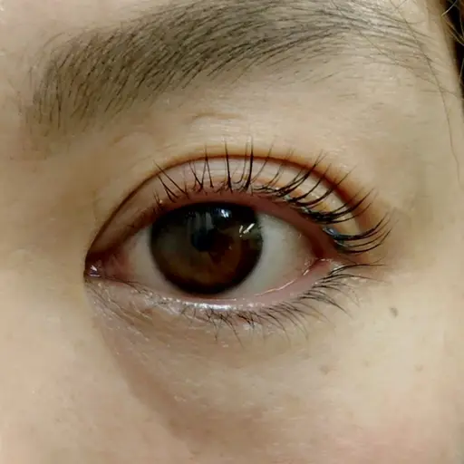 【1/13(火)14:00~】パリジェンヌラッシュリフト ~90分レッスンモデルさん募集*