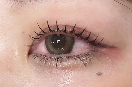 24日限定❗️【ご新規様限定✨】まつげパーマ💙