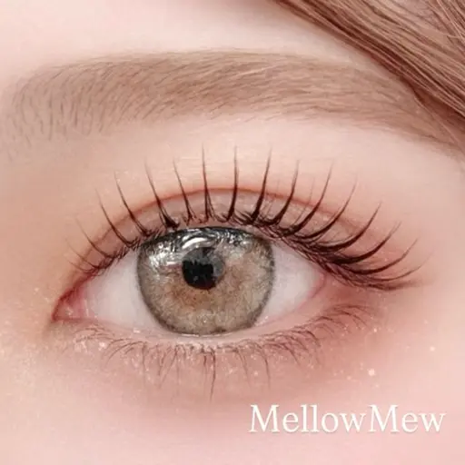 【ミニモ学割】【撮影OKな方】眉毛ワックス＋眉カット＋間引き【メイク仕上げ】