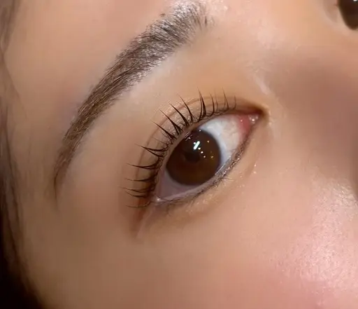 【10名様限定】🫧選べるラッシュリフトorパリジェンヌラッシュリフト🫧