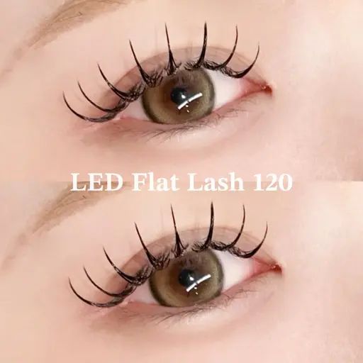 【2/27限定💡】オフ🉑LEDフラットラッシュ120本🎀¥5900