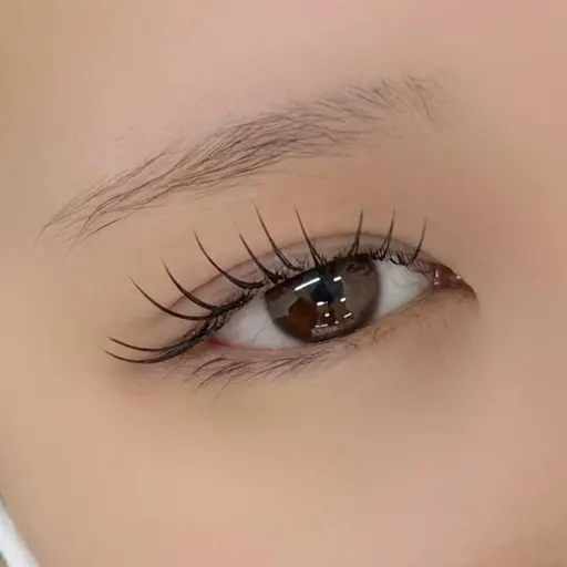 🩶&Healthy🩶【エクステ80本＋まつ毛パーマ/オフ込み】アイシャンプー付き🫧