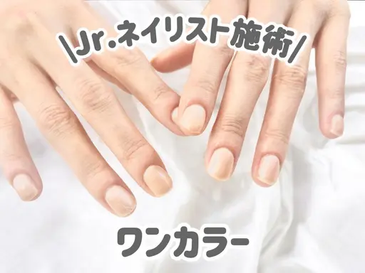 【オフあり】ワンカラー