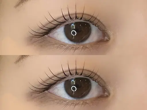 〖ご新規様限定 〗まつげカール⋆౨ৎ˚ (初心者の方にオススメです🫧)